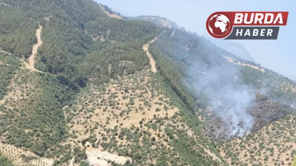 Manisa’da orman yangınına havadan ve karadan müdahale ediliyor.