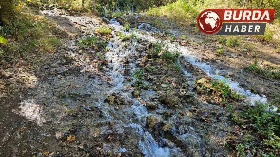 6.1 büyüklüğündeki deprem sonucu su kaynaklarının yeri değişti.