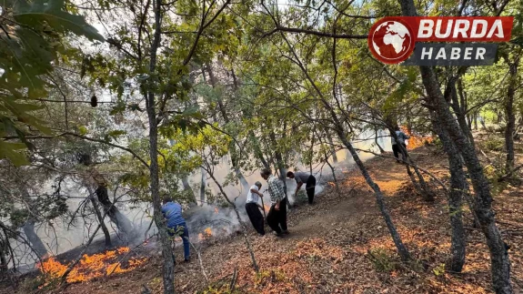 Adana Feke’de orman yangınına ekiplerin müdahaleleri devam ediyor.