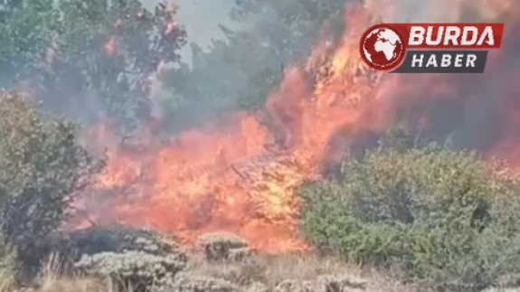 Gümüşhane’de çobanın yaktığı ateş orman yangınına sebep oldu.