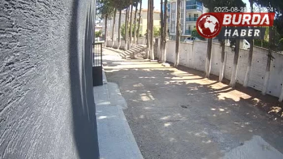 Başkan, taş döşemek istemeyen zabıtaları sopayla dövdü