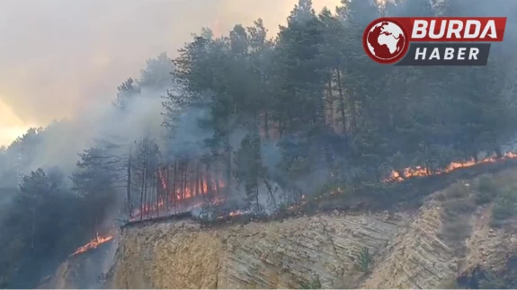 Bolu’da orman yangını başladı: Havadan ve karadan müdahale ediliyor.