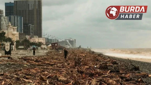 Çoruh Nehri’nin getirdiği ağaç kütükleri Batum sahillerini doldurdu.
