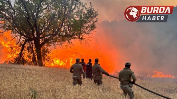 Niğde’de çobanların yaktığı ateş kontrolden çıkarak yangına dönüştü.