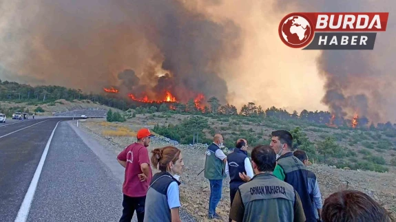 FETÖ Üyesi Astsubay Orman Yangınlarını Kasten Çıkarmakla Yargılanıyor