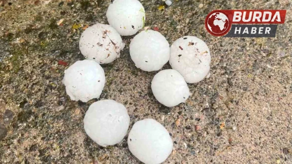 Kayseri'de ceviz büyüklüğünde yağan dolu ağaçlara zarar verdi