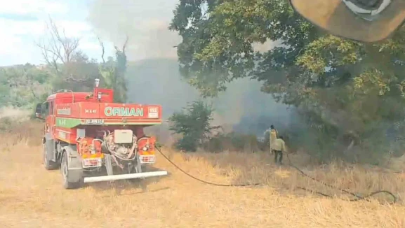 Subaşı'da Ormanlık Alanda Çıkan Yangın Kontrol Altına Alındı
