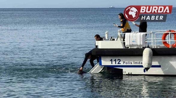 Erdek’te Denizde 81 Yaşındaki Bir Erkeğin Cesedi Bulundu