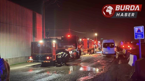 Gebze'de Geri Dönüşüm Deposunda Çıkan Yangında 1 İşçi Yaralandı