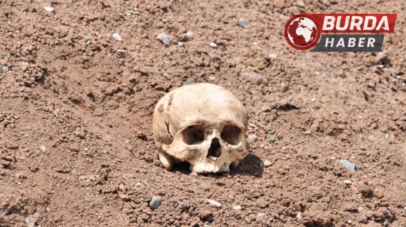 Temel kazısı sırasında kafatasları ve kemikler bulundu.
