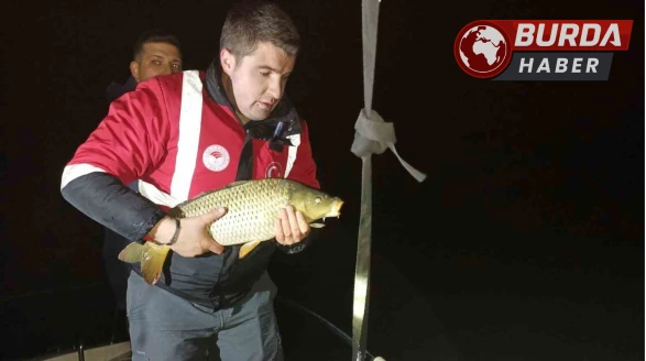 Samsun’da kaçak avcılığa geçit yok: 60 kiloluk sazan suya bırakıldı