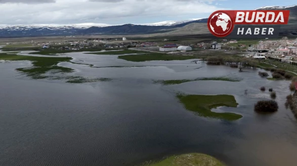 Kura Nehri taştı, tarım arazileri göle döndü