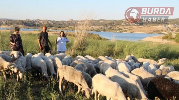Çobanlık yaparken 2 dil öğrendi, üniversiteyi birincilikle mezun oldu