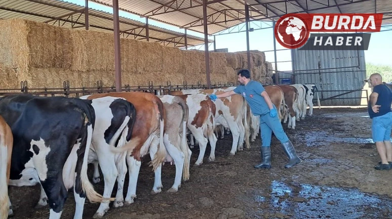 Aydın’ın Nazilli İlçesinde 13 Mahalle Karantinaya Alındı