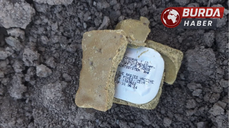 Diyarbakır’ın Bağlar ilçesinde havadan kuduz aşısı bırakıldı.