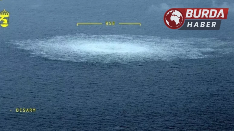 Ukraynalı dalgıç, Kuzey Akım patlamalarından dolayı gözaltına alındı.