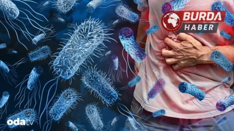 Çocuk Gıda Zehirlenmesi: Her Yıl 125 Bin Çocuk Hayatını Kaybediyor