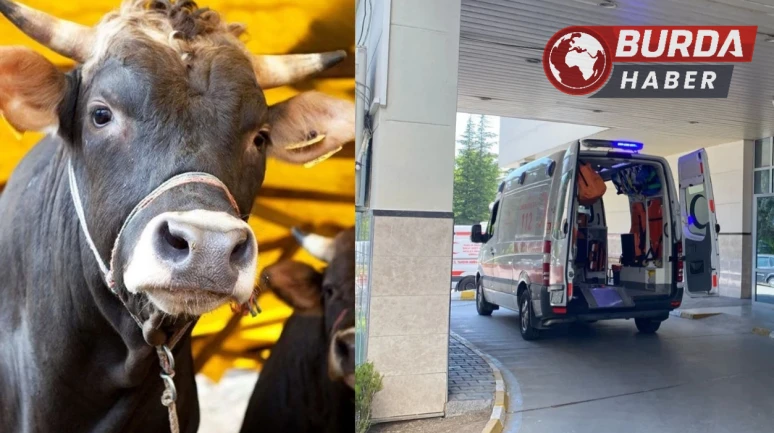 Uzmanlar, 'Deli Dana' Hastalığına Karşı Uyarıyor