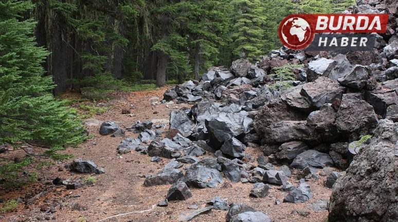 Ordu'da Taş Ocağında Meydana Gelen Göçükte 2 Kişi Enkaz Altında Kaldı