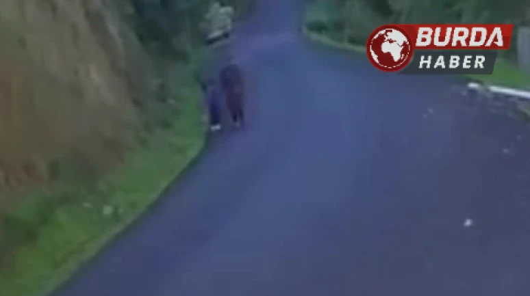 Kastamonu'da 5 Yaşındaki Osman'ın Cesedi Bulundu, Anne Kayıp