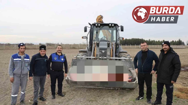 Çifteler'de 215 Kg Kaçak At Eti Ele Geçirildi İşletme Mühürlendi