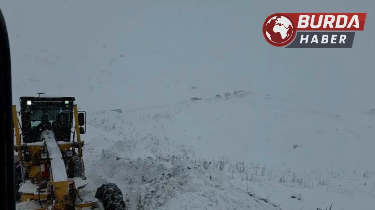 Artvin'de Aksu Yaylası'nda Meydana Gelen Çığ Faciası: 3 Çoban Kayıp