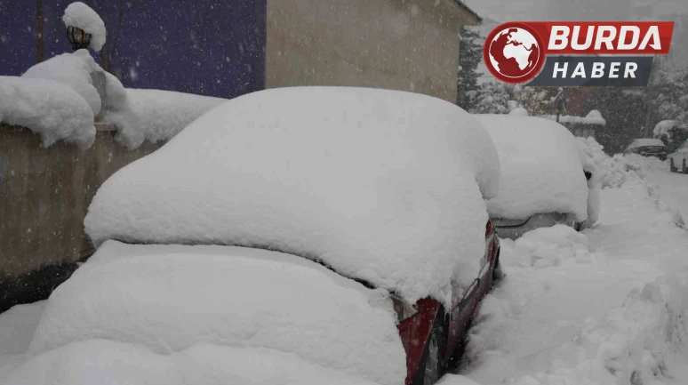 Şırnak'ta Şiddetli Kar Yağışı: Araçlar Kar Altında Kayboldu