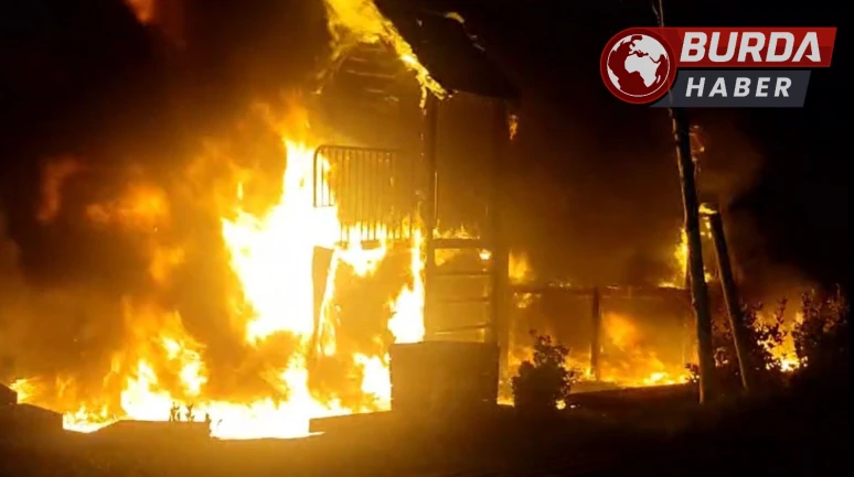 Beylikdüzü'nde 3 Çocuk Parkı Yakarak Küle Çevirdi