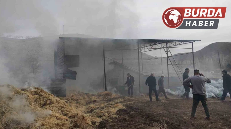 Malatya'da Besi Çiftliğinde Yangın: Maddi Hasar Meydana Geldi