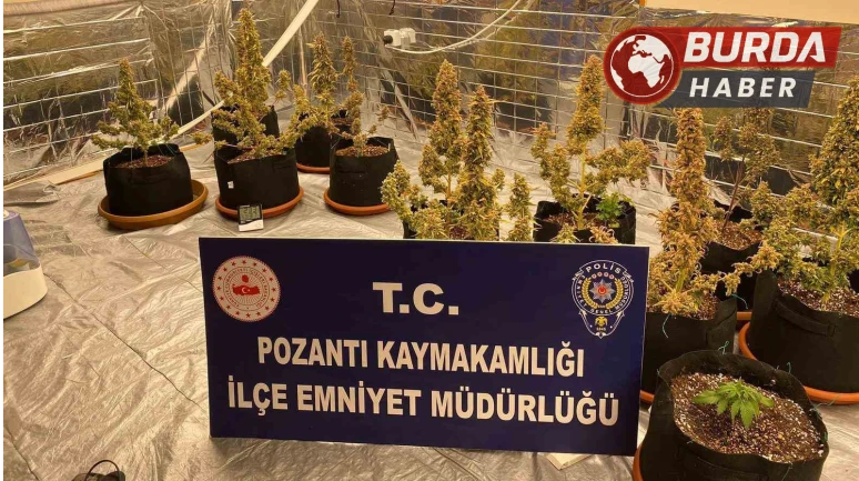 Villada Uyuşturucu Yetiştiren Torbacı ’Sevgililer’ Yakalandı