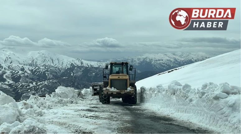 Muş’taki kar yağışı nedeniyle 19 köy yolu ulaşıma kapandı.
