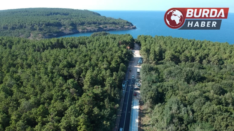 Sinop’taki ormanlara girişler 31 Ekim’e kadar yasaklandı.