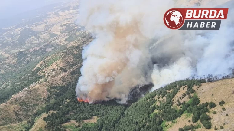 Denizli’deki orman yangınına havadan ve karadan müdahale ediliyor