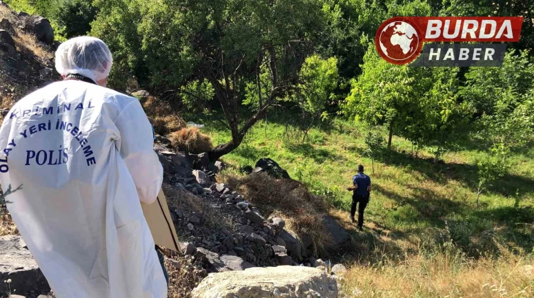 Elazığ’da ağaca asılı halde kimliği belirsiz erkek cesedi bulundu.