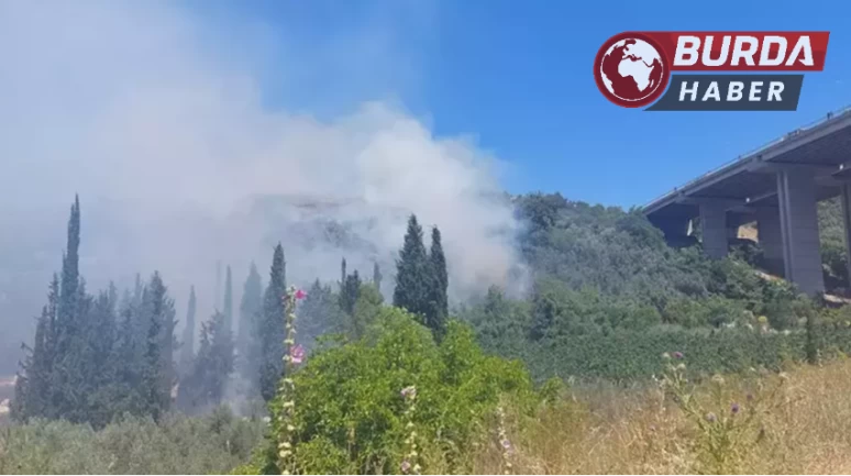 Bursa’da orman yangını köydeki evlere sıçradı...Panik yaşanıyor.