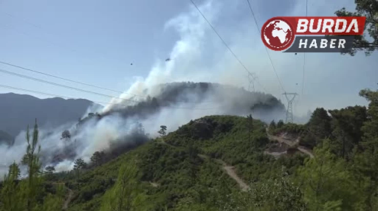 Antalya’da 2 ilçede orman yangını çıktı, müdahaleler devam ediyor.