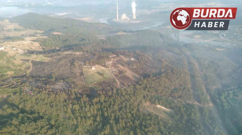 Bursa’daki yangın söndürüldü, yemyeşil orman griye döndü.