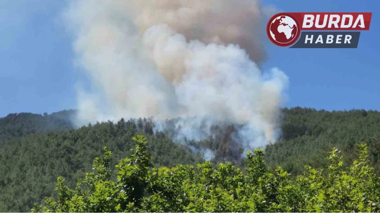 Hatay’daki Amanos dağı eteklerinde orman yangını çıktı.