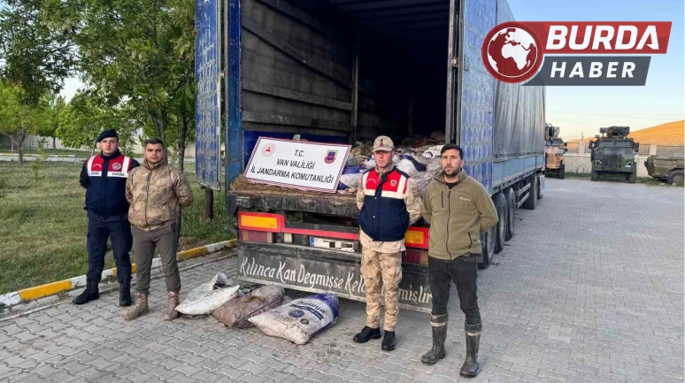 Van’da 22 ton 475 kilogram kaçak avlanmış balık yakalandı.