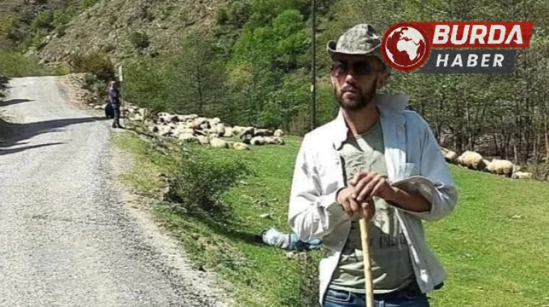 Trabzonlu çoban Gümüşhane’de kene ısırması sonucu öldü.