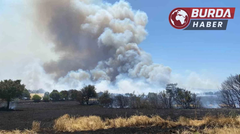 Çanakkale’de tarım arazisinde başlayan yangın ormanlık alana sıçradı