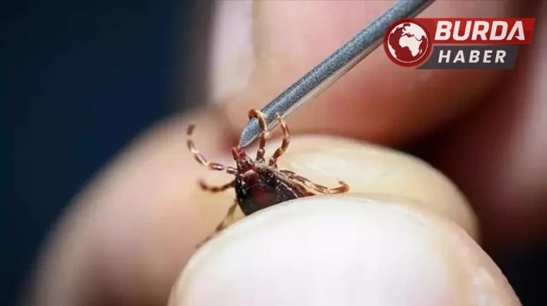 Kenenin yapıştığı yaşlı kadın öldü, kentte ölü sayısı 8’e çıktı.