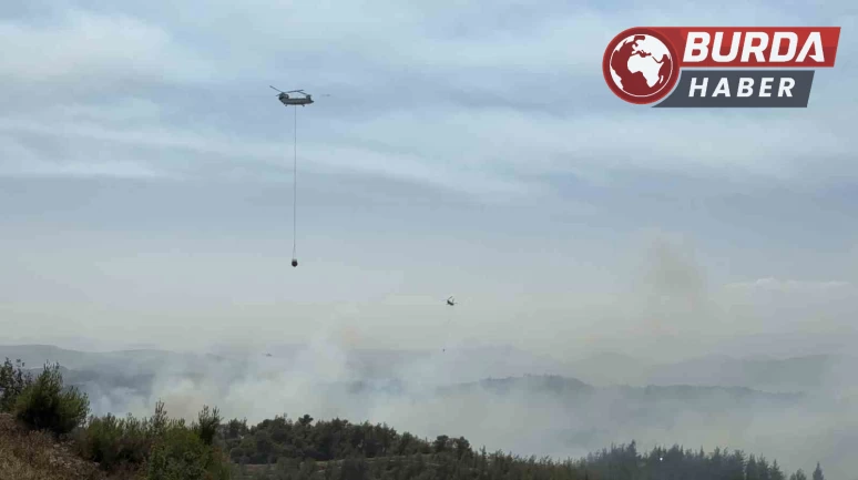 Adana’da orman yangını kontrol altında: 6 kişi gözaltında