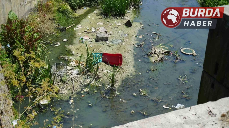 Arnavutköy’de kötü koku yayan dereye vatandaşlar tepki gösterdi.
