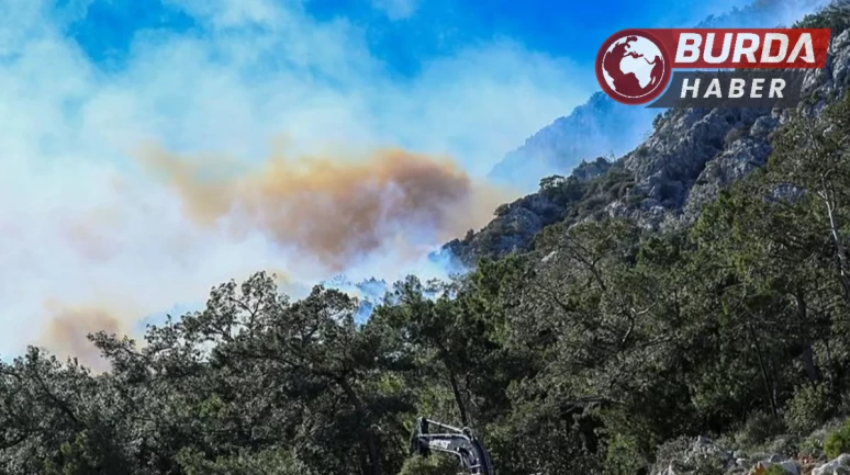 Antalya Konyaaltı'nda ormanlık alanda yangın çıktı.