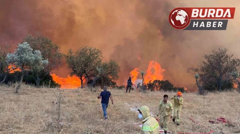 Aydın genelinde hafta sonu 11 farklı noktada yangın çıktı.