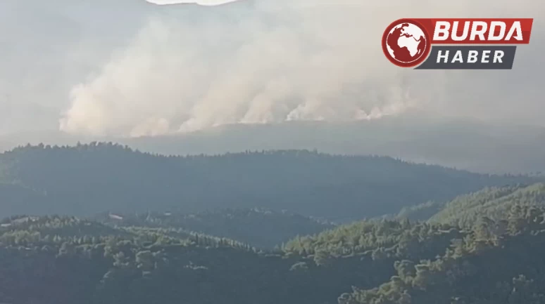 İzmir’de orman yangını sürüyor... Havadan müdahale yeniden başladı.
