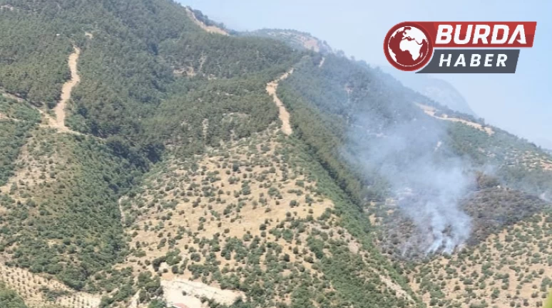 Manisa’da orman yangınına havadan ve karadan müdahale ediliyor.
