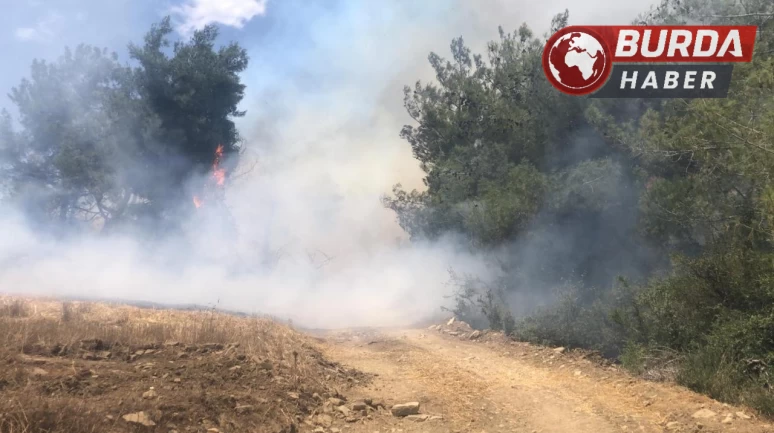 Adana Fadıl köy mevkiindeki ormanlık alanda yangın çıktı.