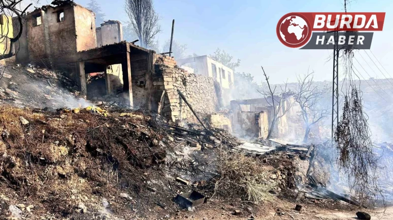 Ankara’da ağaçlık alanda başlayan yangın gecekondulara sıçradı